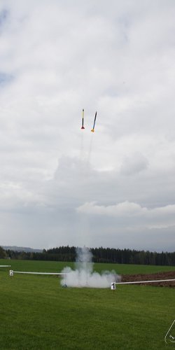 2013 Svojek Mirek Topinka